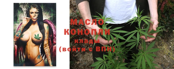 индика Абдулино